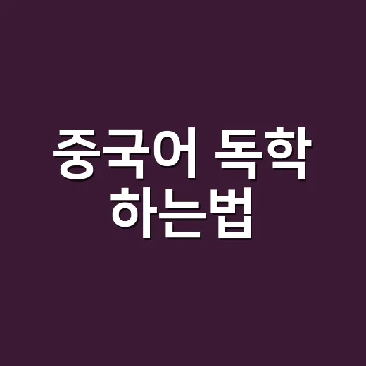 중국어 독학 하는법, 초보자가 3개월 동안 흔들리지 않는 방법 - 요약