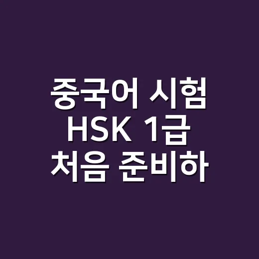 중국어 시험 HSK 1급 처음 준비하는 방법, 발음부터 문제 풀이까지 이렇게 잡으세요 - 요약