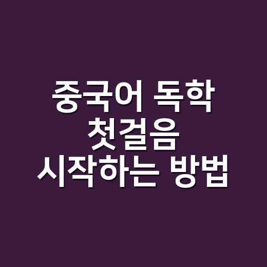 중국어 독학 첫걸음 시작하는 방법: 발음부터 회화까지 덜 헤매는 순서 - 요약