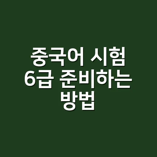 중국어 시험 6급 준비하는 방법, 단어보다 먼저 잡아야 할 것들 - 요약