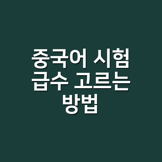 중국어 시험 급수 고르는 방법, HSK 초보자가 헷갈리지 않으려면 이렇게 - 요약