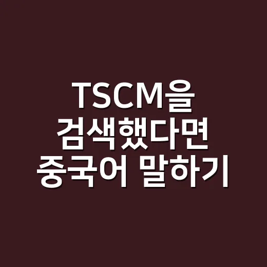 TSCM을 검색했다면 중국어 말하기 시험 찾는 방법 - 요약