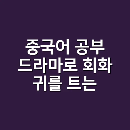 중국어 공부 드라마로 회화 귀를 트는 방법 - 요약