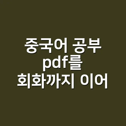 중국어 공부 pdf를 회화까지 이어 쓰는 방법 - 요약