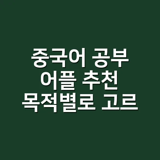 중국어 공부 어플 추천 목적별로 고르는 방법 - 요약