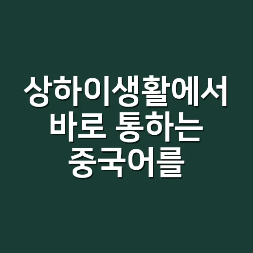 상하이생활에서 바로 통하는 중국어를 익히는 방법 - 요약