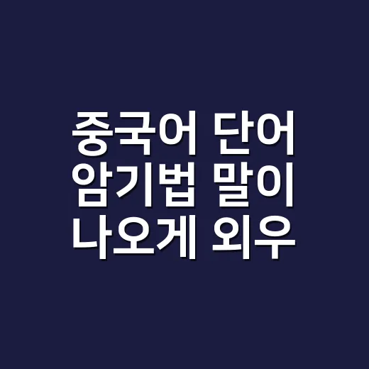 중국어 단어 암기법 말이 나오게 외우는 방법 - 요약