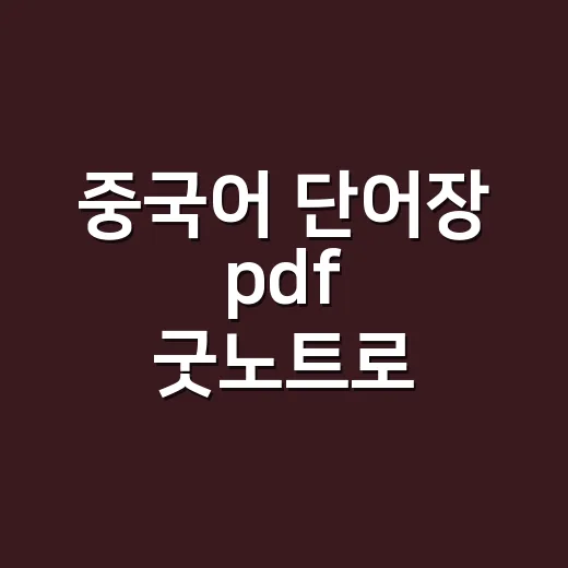 중국어 단어장 pdf 굿노트로 제대로 쓰는 방법 - 요약