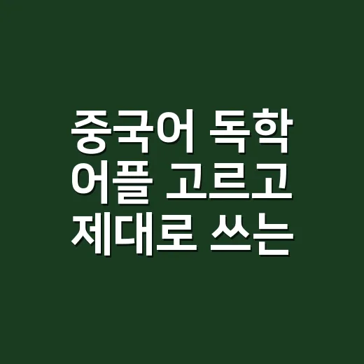 중국어 독학 어플 고르고 제대로 쓰는 방법 - 요약