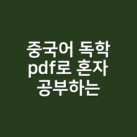 중국어 독학 pdf로 혼자 공부하는 방법 - 요약