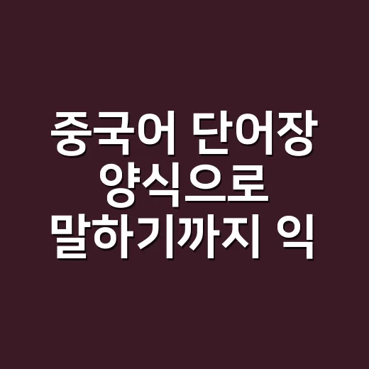 중국어 단어장 양식으로 말하기까지 익히는 방법 - 요약