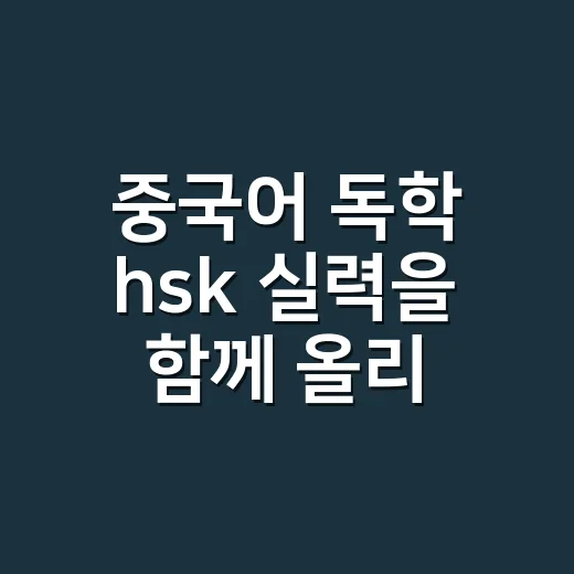 중국어 독학 hsk 실력을 함께 올리는 방법 - 요약