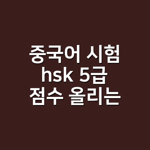 중국어 시험 hsk 5급 점수 올리는 공부 방법 - 요약