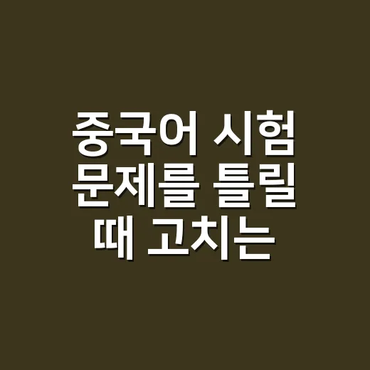 중국어 시험 문제를 틀릴 때 고치는 방법 - 요약