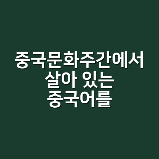 중국문화주간에서 살아 있는 중국어를 익히는 방법 - 요약