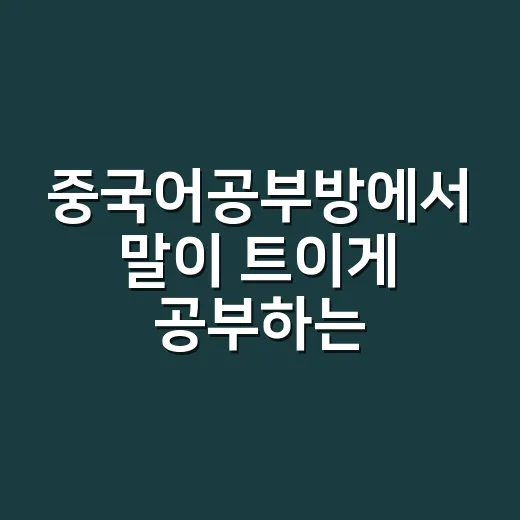 중국어공부방에서 말이 트이게 공부하는 방법 - 요약