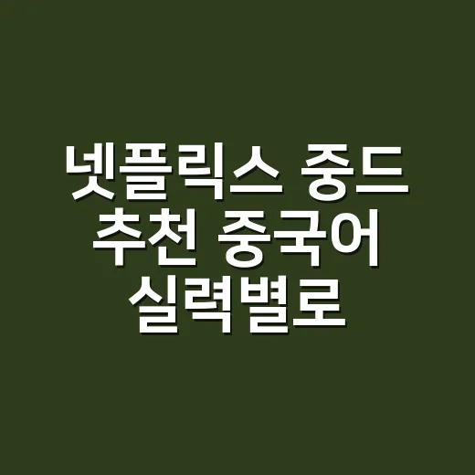 넷플릭스 중드 추천 중국어 실력별로 고르는 방법 - 요약