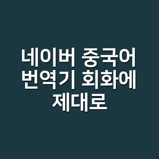 네이버 중국어 번역기 회화에 제대로 쓰는 방법 - 요약