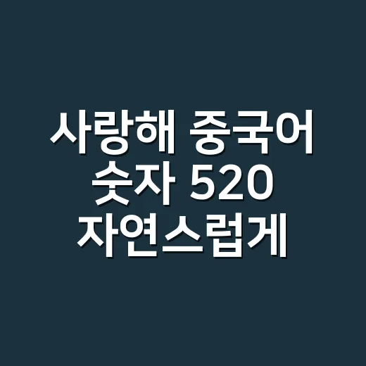 사랑해 중국어 숫자 520 자연스럽게 쓰는 방법 - 요약