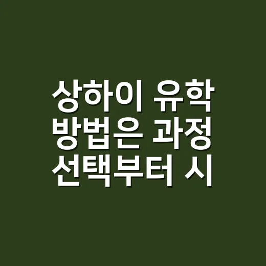 상하이 유학 방법은 과정 선택부터 시작한다 - 요약