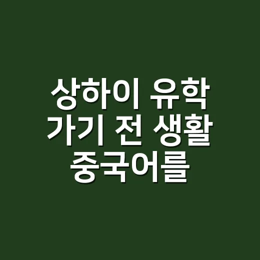 상하이 유학 가기 전 생활 중국어를 준비하는 방법 - 요약