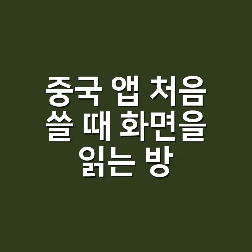 중국 앱 처음 쓸 때 화면을 읽는 방법 - 요약