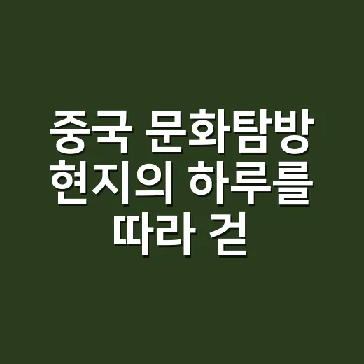 중국 문화탐방 현지의 하루를 따라 걷는 방법 - 요약