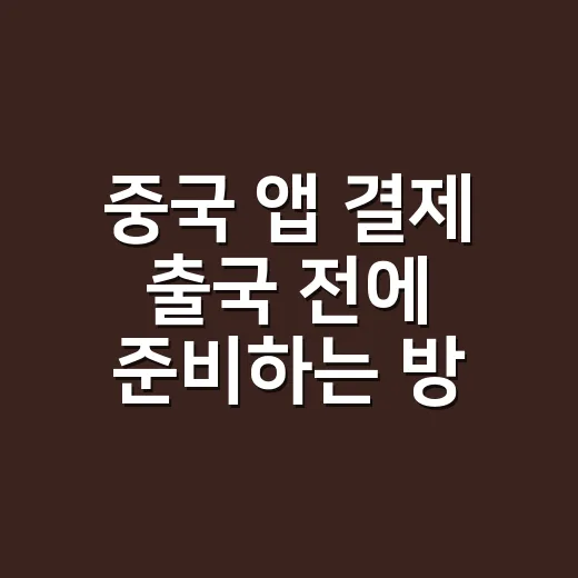 중국 앱 결제 출국 전에 준비하는 방법 - 요약