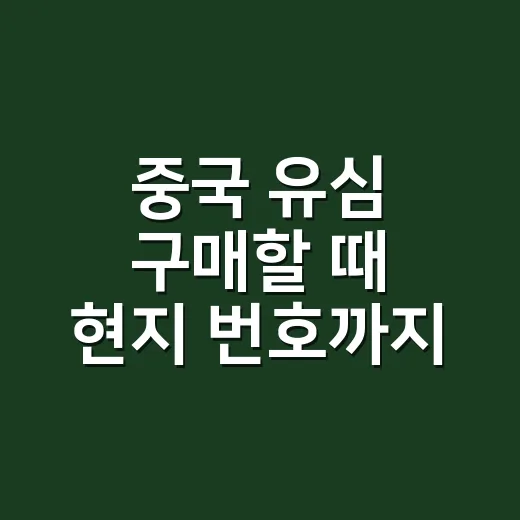 중국 유심 구매할 때 현지 번호까지 챙기는 방법 - 요약