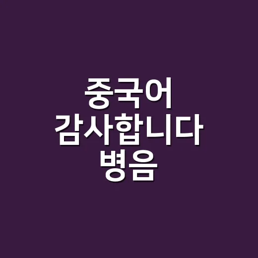 중국어 감사합니다 병음 자연스럽게 말하는 방법 - 요약