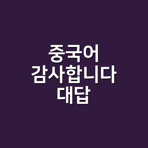 중국어 감사합니다 대답 자연스럽게 하는 방법 - 요약