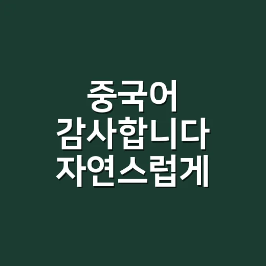 중국어 감사합니다 자연스럽게 말하는 방법 - 요약