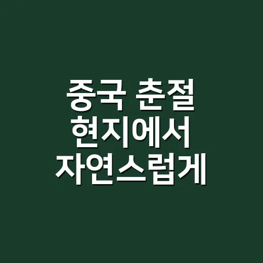 중국 춘절 현지에서 자연스럽게 보내는 방법 - 요약