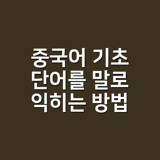 중국어 기초 단어를 말로 익히는 방법 - 요약