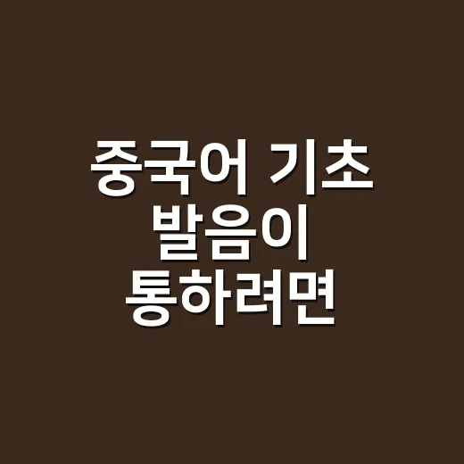 중국어 기초 발음이 통하려면 이렇게 연습하세요 - 요약
