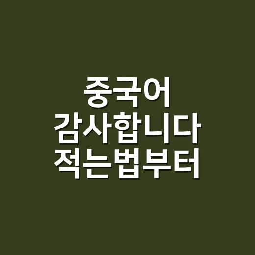 중국어 감사합니다 적는법부터 자연스럽게 말하는 방법 - 요약