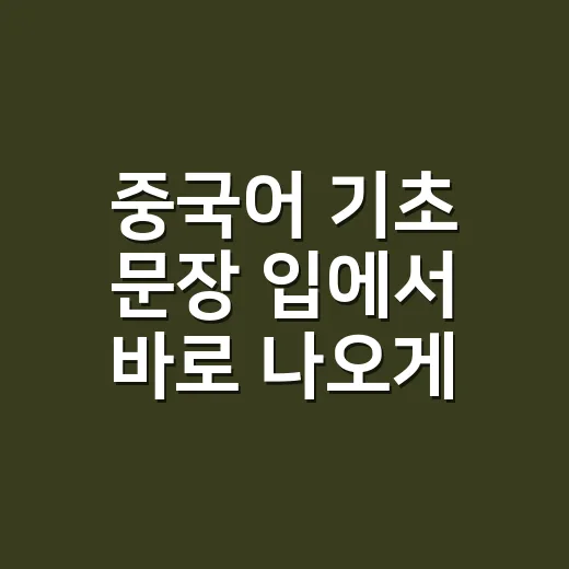 중국어 기초 문장 입에서 바로 나오게 만드는 방법 - 요약