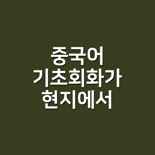 중국어 기초회화가 현지에서 통하게 만드는 방법 - 요약