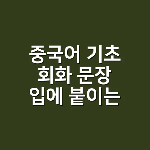 중국어 기초 회화 문장 입에 붙이는 방법 - 요약