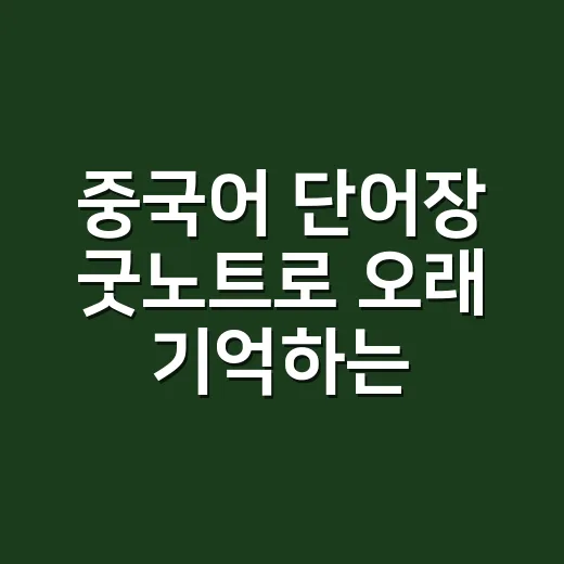 중국어 단어장 굿노트로 오래 기억하는 방법 - 요약