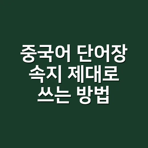 중국어 단어장 속지 제대로 쓰는 방법 - 요약