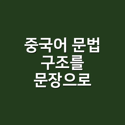 중국어 문법 구조를 문장으로 익히는 방법 - 요약