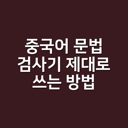 중국어 문법 검사기 제대로 쓰는 방법 - 요약