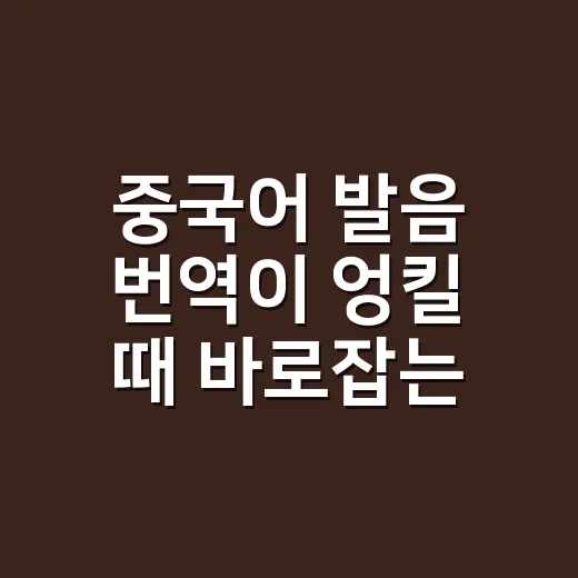 중국어 발음 번역이 엉킬 때 바로잡는 방법 - 요약