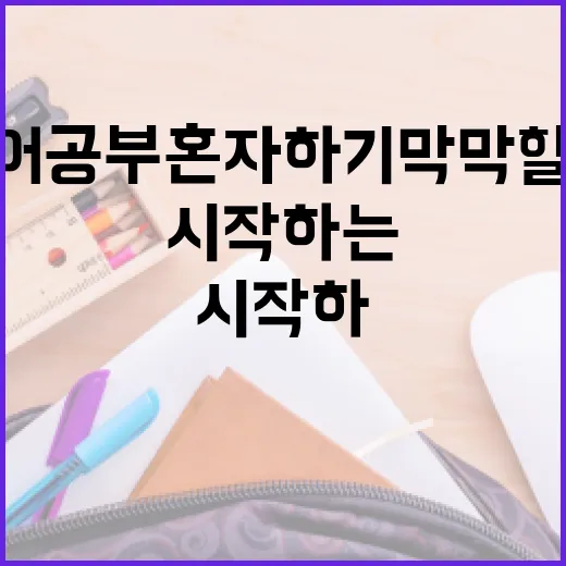 영어공부혼자하기 막막할 때 바로 시작하는 방법 - 요약