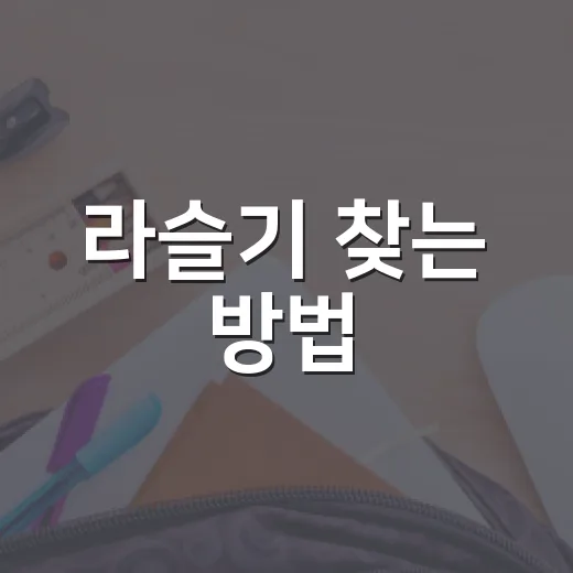 라슬기 찾는 방법, 동명이인 정보 헷갈리지 않게 확인하려면 이렇게 - 요약