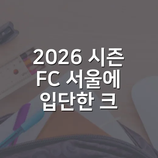 2026 시즌 FC 서울에 입단한 크로아티아 미드필더 확인하는 방법 - 요약