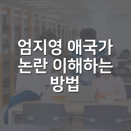 엄지영 애국가 논란 이해하는 방법, 처음 본 사람도 헷갈리지 않게 - 요약