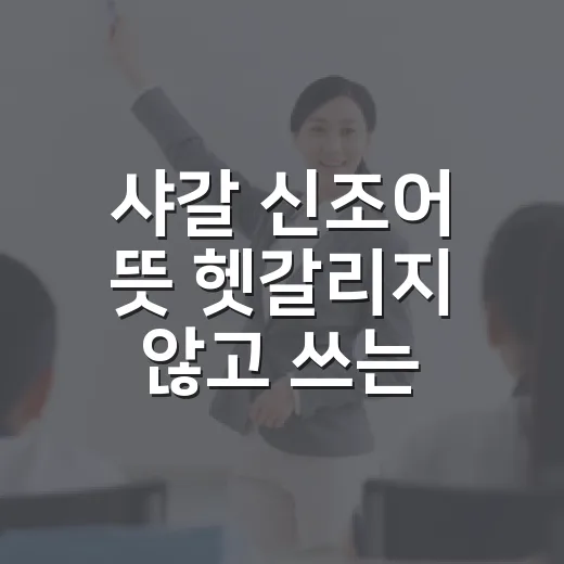 샤갈 신조어 뜻 헷갈리지 않고 쓰는 방법 - 요약