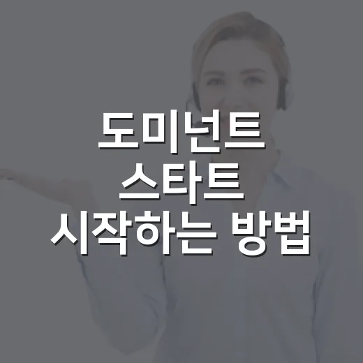 도미넌트 스타트 시작하는 방법, 초보자가 먼저 잡아야 할 포인트 - 요약